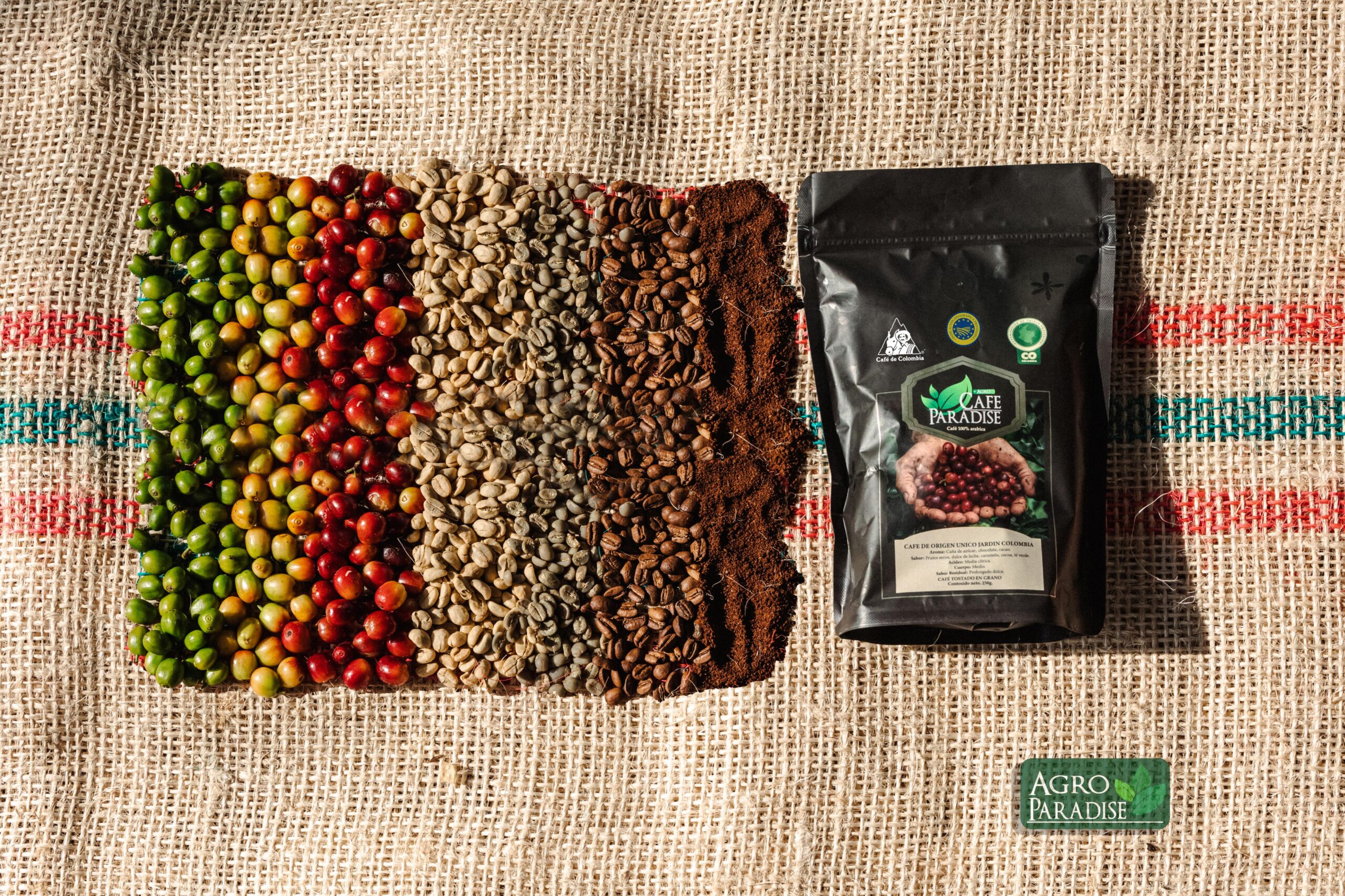 WhatsApp Image 2025-02-21 at 11.23.29 AM (6)