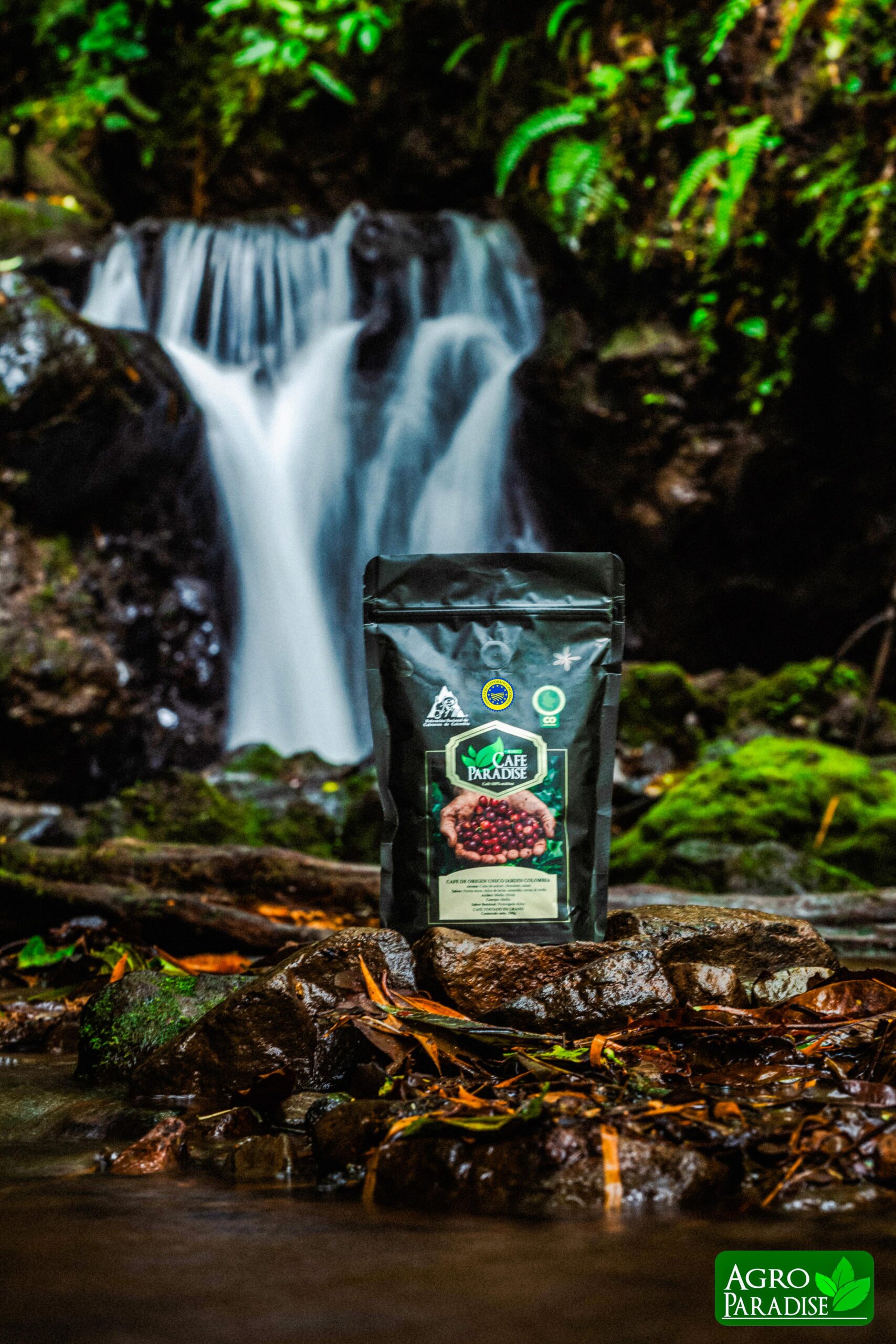 WhatsApp Image 2025-02-21 at 11.23.29 AM (7)